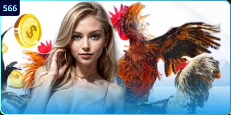 Điểm mạnh vượt trội của đá gà 566