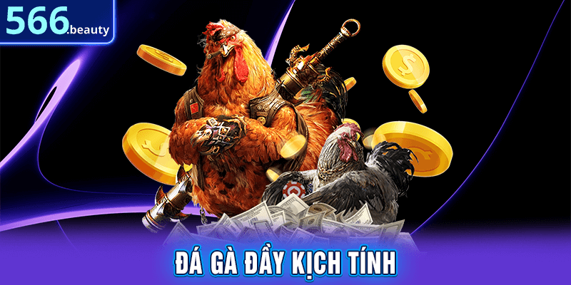 Đá gà đầy kịch tính