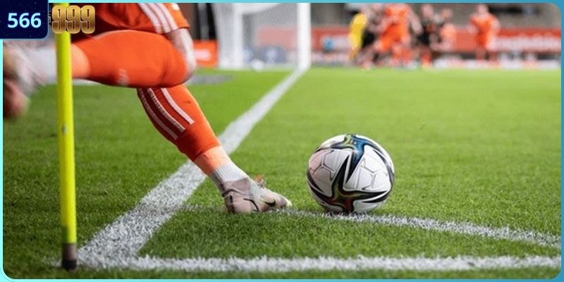 Kinh nghiệm chia sẻ từ cao thủ giúp bạn chiến thắng đơn giản hơn